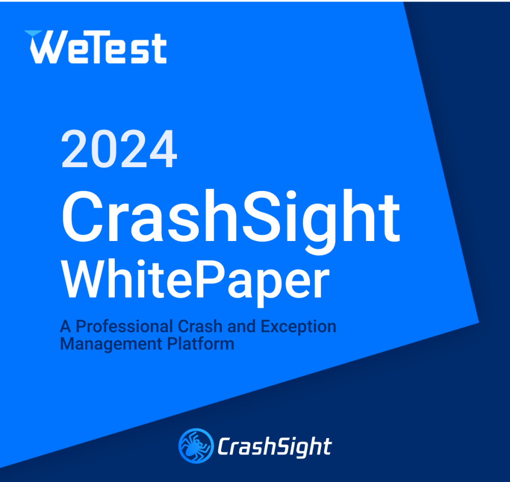 CrashSight 2024 WhitePaper