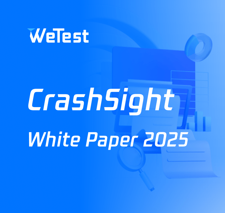 CrashSight 2025 WhitePaper